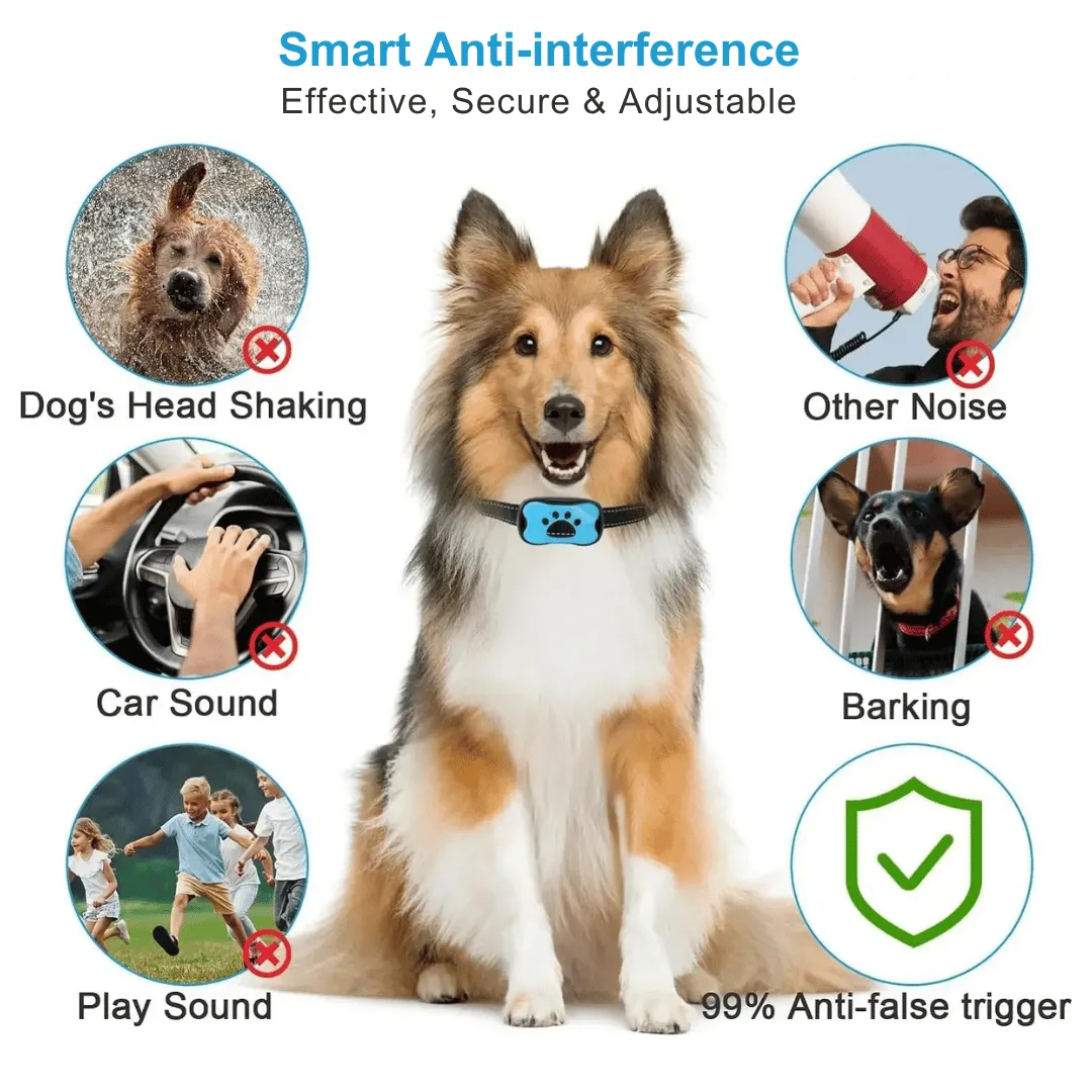 Anti-Bark Collar | No Shock Sound & Vibration Dog Training Device