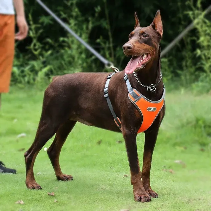 Durable Oxfold Colorful Dog Chest Pet Collar