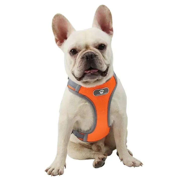 Durable Oxfold Colorful Dog Chest Pet Collar