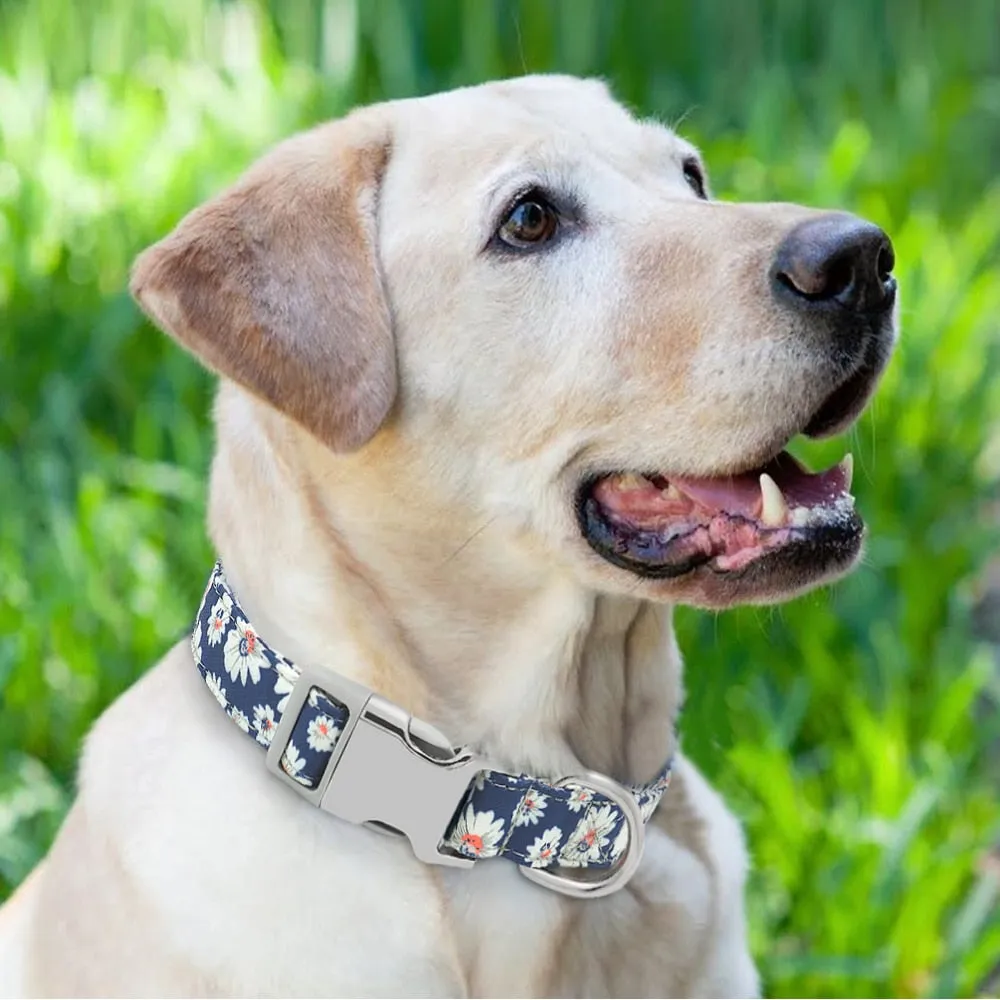 Leo Colourful Personalised Dog Collar