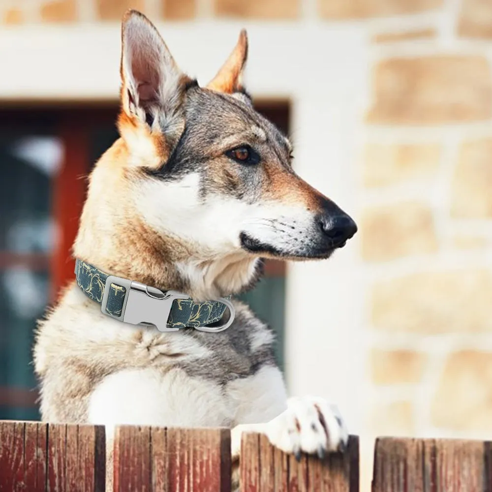 Leo Colourful Personalised Dog Collar