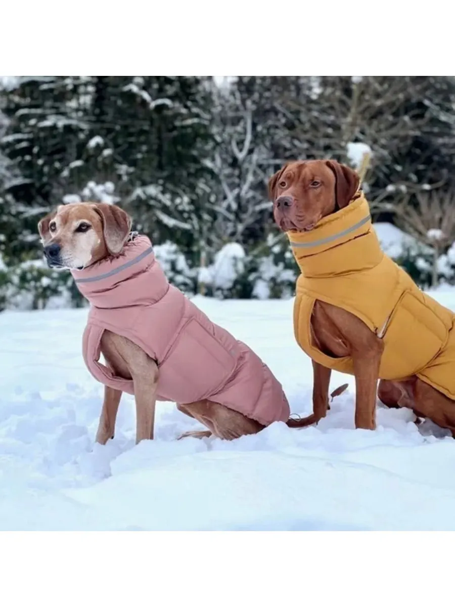 Luxury Warm Dog Clothes Winter Jacket for Small Medium Large Dogs Waterproof Soft Padded Warm Pet Coat Safety Dog Outfit