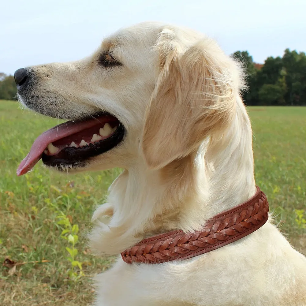 Mars Genuine Leather Dog Collar Braided Design