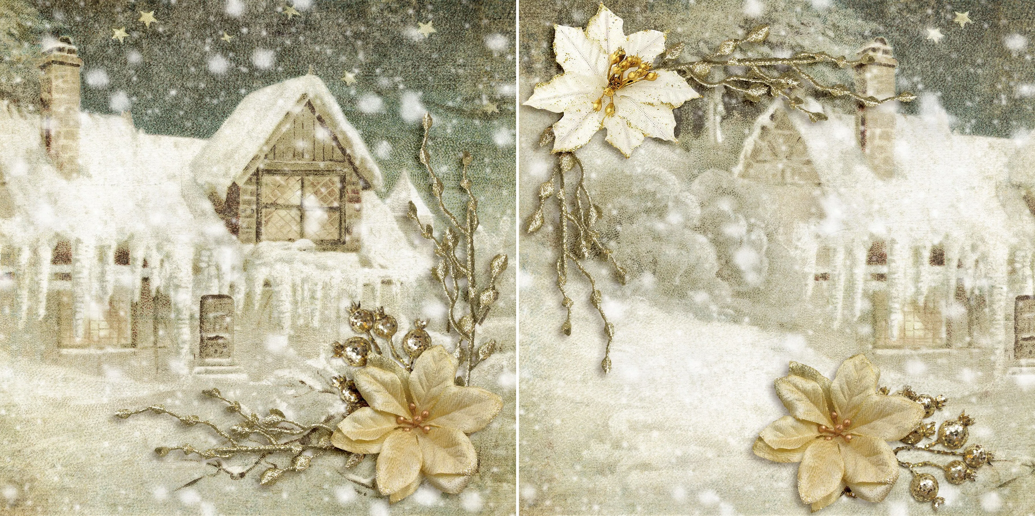 Snowy Weather NPM - 5165