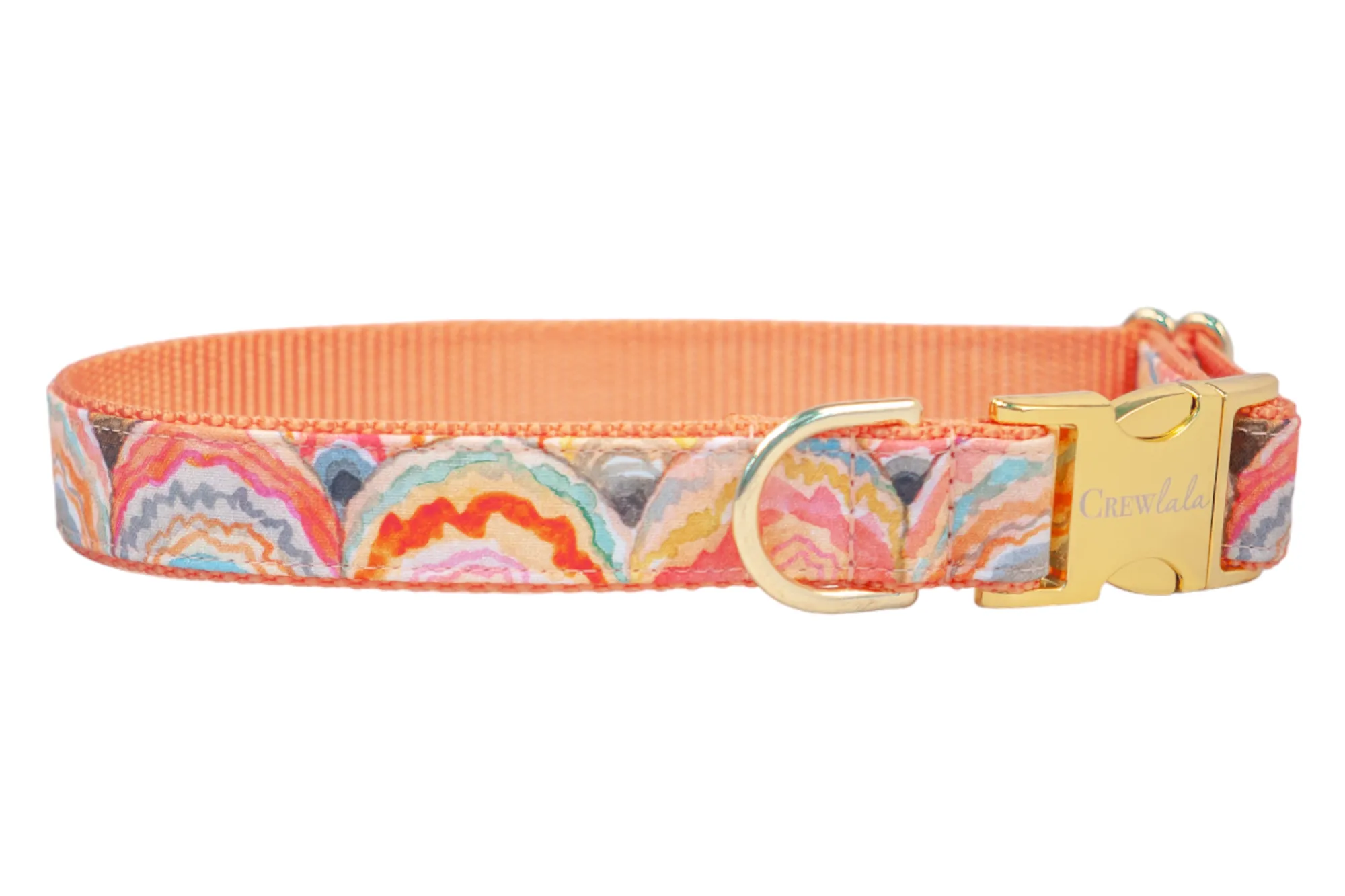Sunrise Shells Dog Collar